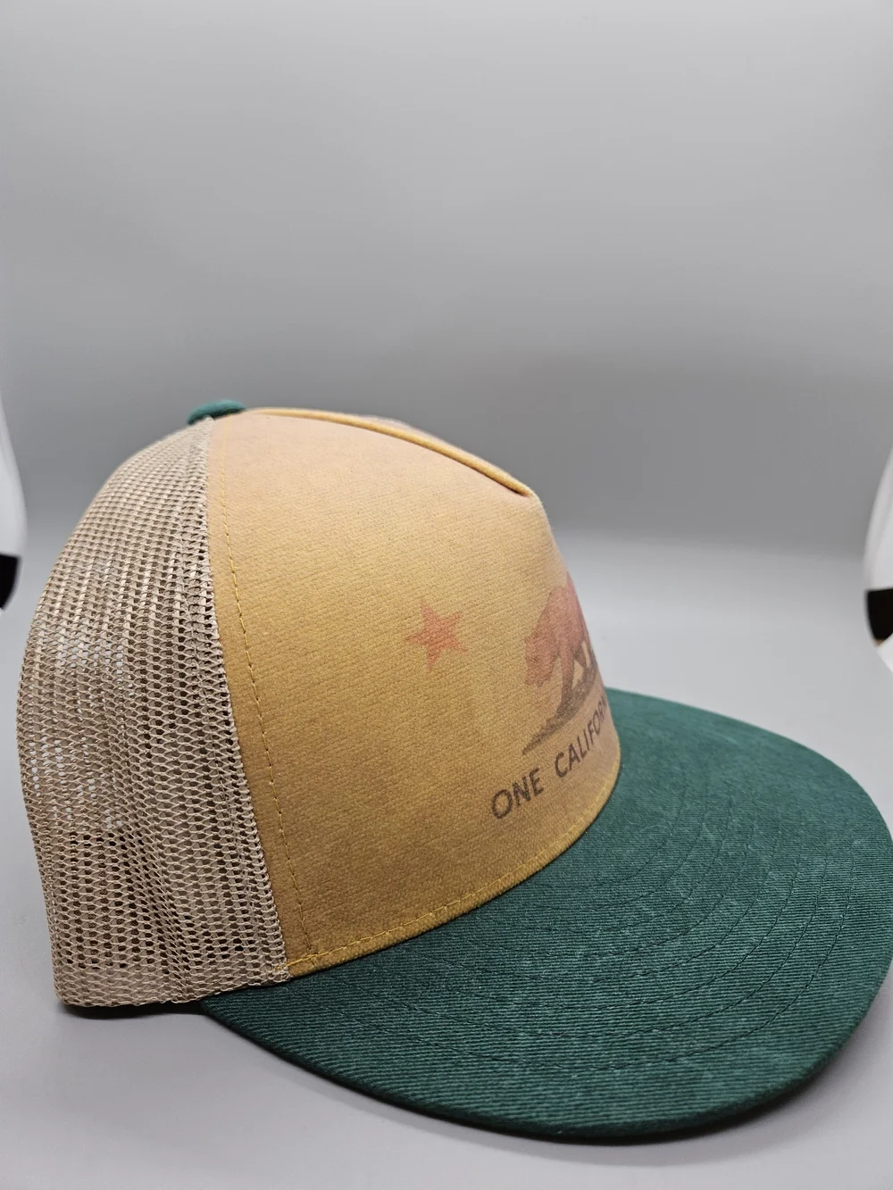 NWT Toes On The Nose One California Day Snapback Trucker Hat Green Tan Bear OSFA